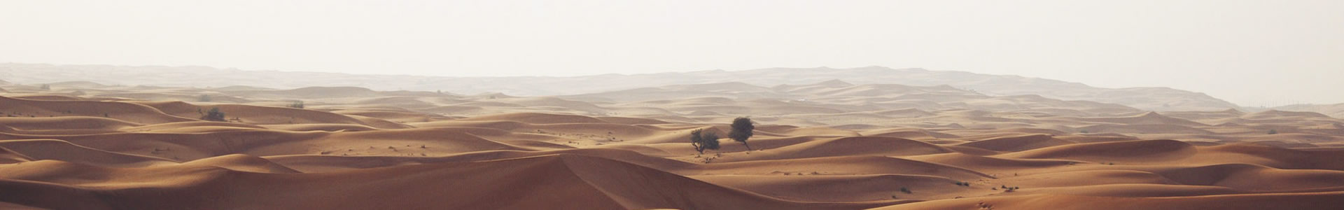 ݭZɫ޹˾
